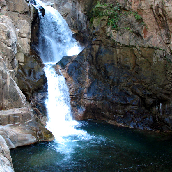 El Salto 